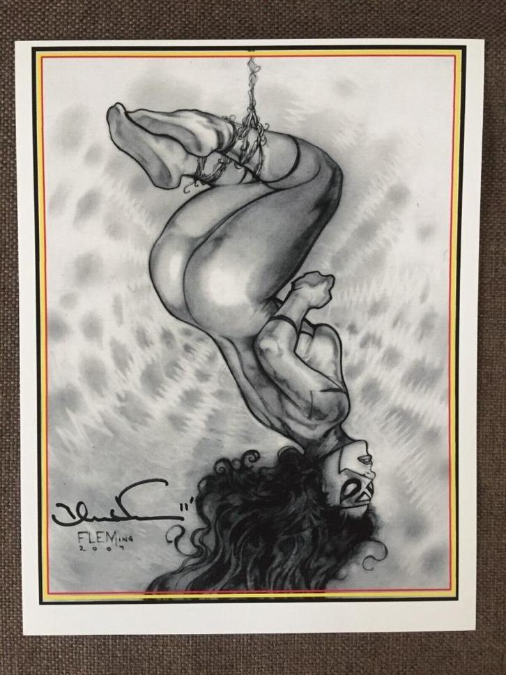 Comic Artprint  Spiderwoman Tom Fleming sexy orig. signed, Antiek en Kunst, Kunst | Litho's en Zeefdrukken, Verzenden