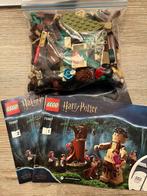 Lego Harry Potter Het Verboden Bos 75967, Kinderen en Baby's, Speelgoed | Duplo en Lego, Ophalen of Verzenden, Zo goed als nieuw