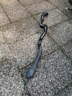 Slang van.  wilgenhout. Gebrand en gelakt. Met loodschubben., Ophalen, Nieuw