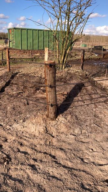 Paddock palen , weidepalen , kastanje houten palen  beschikbaar voor biedingen