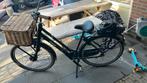Giant elektrische fiets ( met storing), Ophalen of Verzenden, Gebruikt, Minder dan 30 km per accu, Overige merken