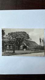 Ansichtkaart Roodeschool, Boerderij, Ophalen of Verzenden