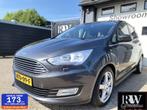 Ford C-Max 1.5 Titanium vol opties! Nieuwe Apk!, Voorwielaandrijving, Euro 6, 4 cilinders, 150 pk