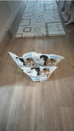 Droog kattenvoer, Ophalen, Kat