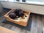 Grote houten hondenmand, Dieren en Toebehoren, Ophalen, Overige
