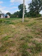 Geiten en of schapen gezocht voor grasland, Dieren en Toebehoren, Ophalen