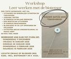 Workshop biotensor dinsdag 20 januari 2026, Ophalen, Nieuw, Meerdere media