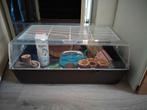 Hamsterhok met toebehoren, Dieren en Toebehoren, Ophalen, Gebruikt
