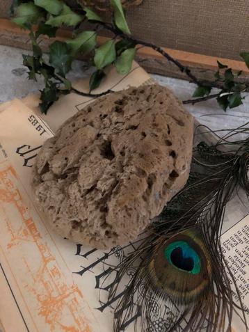 Oude natuurspons /17 cm beschikbaar voor biedingen