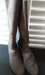 Laarzen suede De Bijenkorf, taupe (NNG/NEW), Hoge laarzen, Beige, Bijenkorf, Nieuw