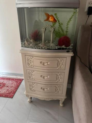 Aquarium beschikbaar voor biedingen