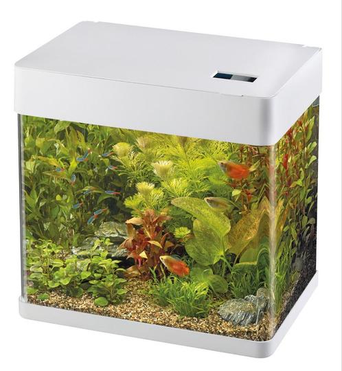 Superfish panorama 50 LED aquarium, Dieren en Toebehoren, Vissen | Aquaria en Toebehoren, Zo goed als nieuw, Leeg aquarium, Ophalen
