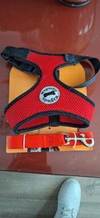 Puppy tuigje met Riem, Ophalen, Nieuw