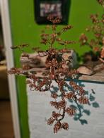 Bonsai boom van metaal, Nieuw, Binnen, Ophalen