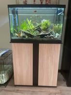 Complete Superfish aquarium met meubel, vissen, oase filter, Dieren en Toebehoren, Zo goed als nieuw, Ophalen, Gevuld zoetwateraquarium