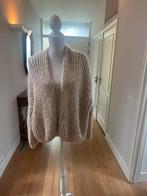 Kiro by Kim vest, Kleding | Dames, Truien en Vesten, Verzenden, Nieuw, Beige