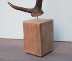 DAMHERT GEWEI op houten sokkel - ref. E, Ophalen of Verzenden, Nieuw, Hert, Gewei of Kop