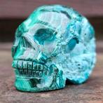 Prachtige malacolla schedel, Ophalen of Verzenden