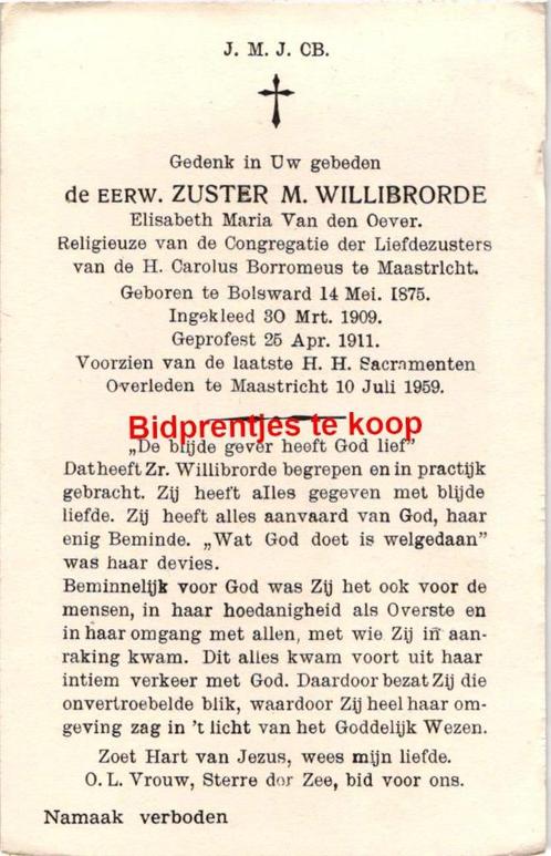 Oever van den Elisabeth 1875 Bolsward 1959 Maastricht zr Wil, Verzamelen, Bidprentjes en Rouwkaarten, Bidprentje, Ophalen of Verzenden