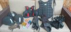 Caps rijschoenen body protector zweep, Dieren en Toebehoren, Paardrijkleding, Ophalen of Verzenden, Overige soorten