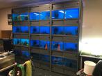 Aquarium stelling, Dieren en Toebehoren, Vissen | Aquaria en Toebehoren, Ophalen, Gebruikt, Leeg aquarium
