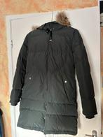 Parajumpers jas long bear light groen M GLOEDNIEUW, Kleding | Dames, Jassen | Winter, Groen, Maat 38/40 (M), Ophalen of Verzenden