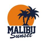 camper caravan auto sticker malibu sunset, The River House, Info@theriverhouse.nl, Nieuw, Ophalen of Verzenden