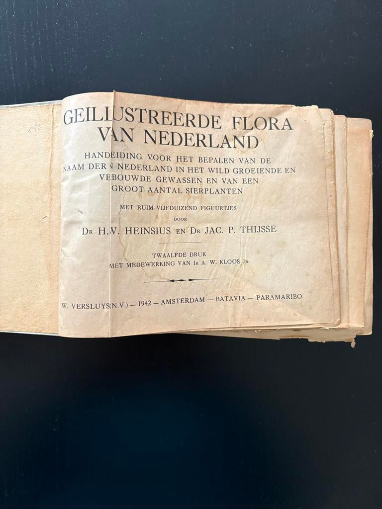 Boek (1942) geïllustreerde flora van NL, Boeken, Natuur, Ophalen of Verzenden, Gelezen, Bloemen, Planten en Bomen