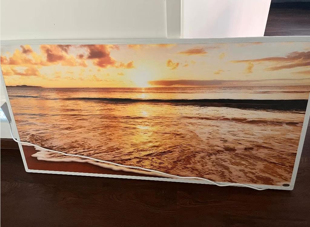 infraroodverwarming met fotomotief 1000W, Ophalen, 30 tot 80 cm, Radiator, Zo goed als nieuw