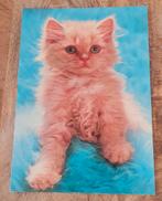 Super schattige rode kitten (ansichtkaart), Verzenden, 1980 tot heden, Ongelopen, Overige thema's