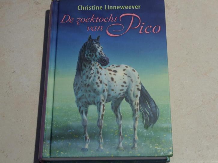Gouden Paarden De zoektocht van Pico Christine  Linneweever, Boeken, Kinderboeken | Jeugd | onder 10 jaar, Zo goed als nieuw, Fictie algemeen