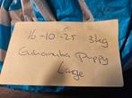 Gratis afhalen 3kg eukanunba puppy large, Dieren en Toebehoren, Dierenvoeding, Ophalen, Hond