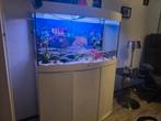 Juwel Rio Vision 180L met meubel, Dieren en Toebehoren, Vissen | Aquaria en Toebehoren, Ophalen, Zo goed als nieuw, Leeg aquarium