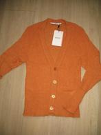 Steps Vest Alpaca wol * Zacht Amberkleur, Kleding | Dames, Truien en Vesten, Steps, Ophalen of Verzenden, Nieuw