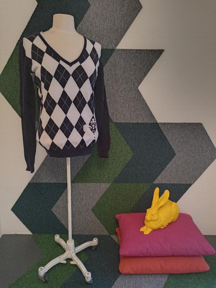 PL Land Trui maat L nieuw!, Kleding | Dames, Truien en Vesten, Nieuw, Maat 38/40 (M), Blauw, Ophalen