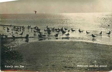 (380-295-019) Katwijk aan Zee beschikbaar voor biedingen