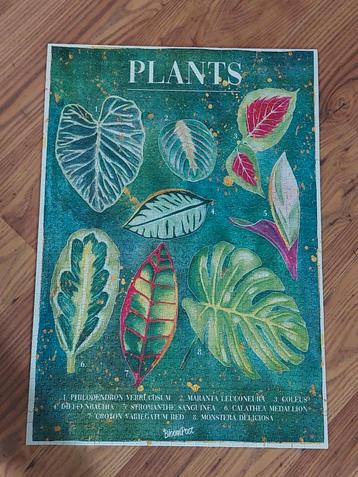 Plants Puzzel 1000 Stukjes - Planten Bloompost beschikbaar voor biedingen