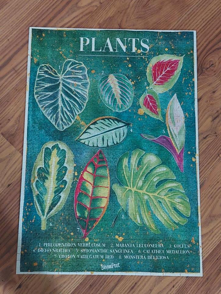 Plants Puzzel 1000 Stukjes - Planten Bloompost, Hobby en Vrije tijd, Denksport en Puzzels, Zo goed als nieuw, 500 t/m 1500 stukjes