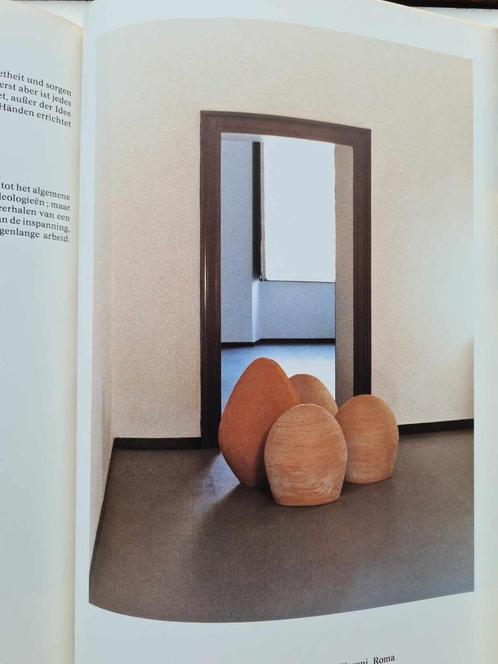 Luciano Fabro -Arte Povera, Boeken, Kunst en Cultuur | Beeldend, Gelezen, Schilder- en Tekenkunst, Ophalen of Verzenden