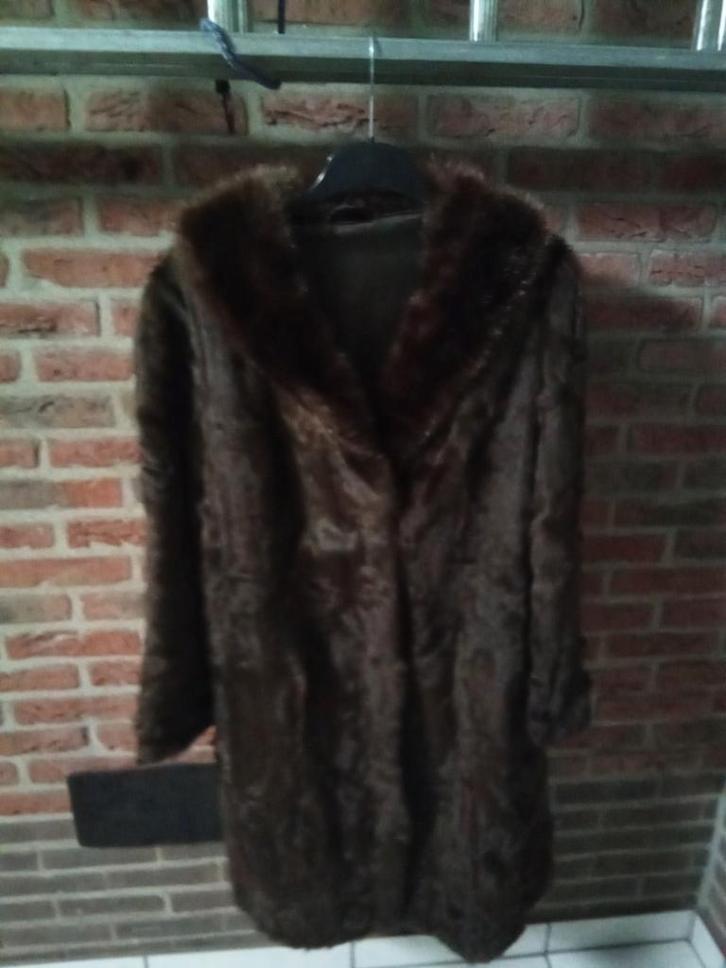 Vintage Bruine nerts Bontjas ongeveer maat 42, nu€45, Kleding | Dames, Jassen | Winter, Gedragen, Maat 42/44 (L), Bruin, Ophalen of Verzenden