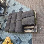 Premium speelgazon grasrollen, Ophalen, Nieuw, Gras
