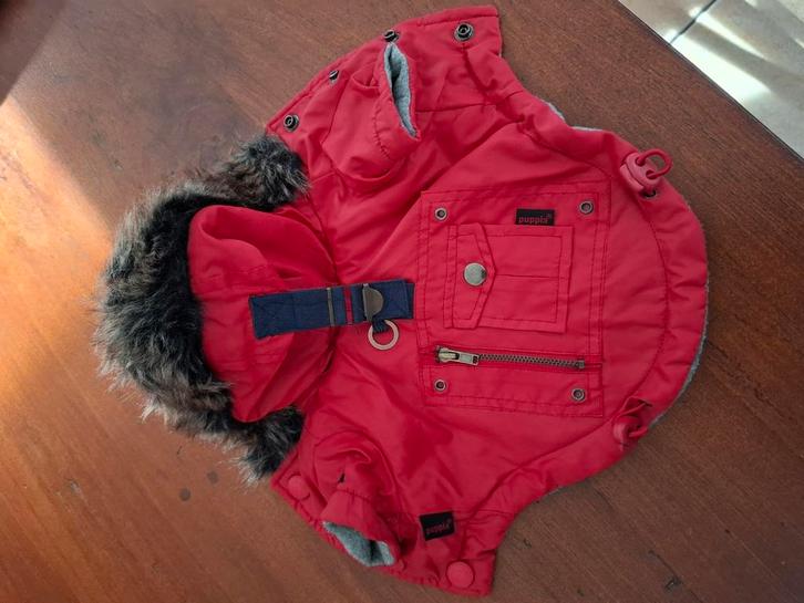 Hondenjas Püppia, Dieren en Toebehoren, Hondenkleding, Nieuw, Hondenjas, Ophalen of Verzenden