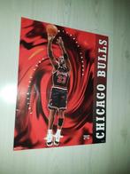 Michael Jordan geplastificeerde poster 51x41cm, Ophalen of Verzenden, Poster, Plaatje of Sticker