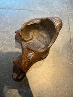 Mammoet bot - Oud fossiel, Ophalen, Fossiel