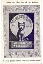 reclame voor toneelstuk op Broadway 1906, Ophalen of Verzenden, Voor 1920, Ongelopen, Cultuur en Media