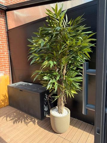 Longifolia kunstplant 180 cm nieuw twv 179 euro beschikbaar voor biedingen
