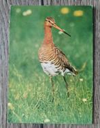 22  ..   Vlieland, Verzamelen, Ophalen of Verzenden, Waddeneilanden