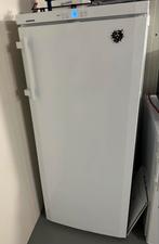 LIEBHERR, Witgoed en Apparatuur, Vriezers en Diepvrieskisten, Vrieskast, Gebruikt, Energieklasse A of zuiniger, 160 cm of meer