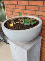 Plantenschaal in betonlook grijs doorsnee 44,5 cm hoog 23cm, Ophalen, Minder dan 30 cm, Minder dan 60 cm, Rond