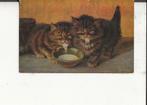 Twee melk drinkende poesjes M Stocks, Verzenden, Voor 1920, Ongelopen, Overige thema's